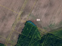 Dražba lesa, Čejkovice, 126 m2