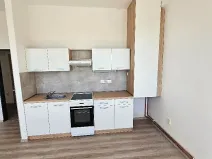 Pronájem bytu 2+kk, Mlékojedy, 50 m2