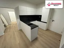 Pronájem bytu 4+kk, Brno, Svatopluka Čecha, 119 m2