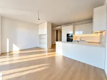 Prodej bytu 1+kk, Mladá Boleslav, Vondřichova, 42 m2