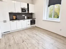 Pronájem bytu 1+1, Mělník, Pražská, 45 m2