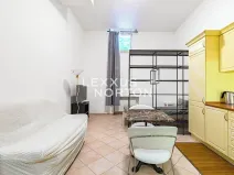 Pronájem bytu 1+kk, Praha - Vinohrady, Italská, 41 m2