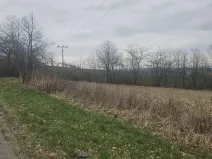 Dražba pozemku pro bydlení, Mezno, 5329 m2