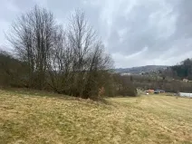 Dražba louky, Semily, 7826 m2
