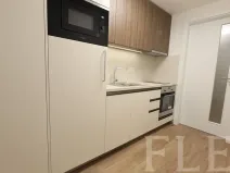 Pronájem bytu 1+kk, Praha - Žižkov, Hartigova, 38 m2
