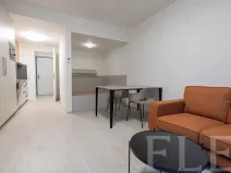 Pronájem bytu 1+kk, Praha - Žižkov, Hartigova, 34 m2