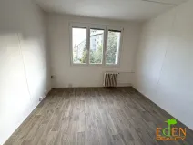 Pronájem bytu 1+kk, Plzeň, Dlouhá, 20 m2