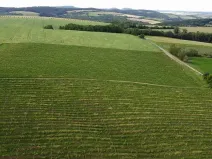 Dražba pole, Ořechov, 2077 m2