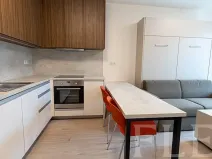 Pronájem bytu 1+kk, Praha - Žižkov, Hartigova, 32 m2