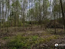 Prodej pozemku pro bydlení, Vrbice, 1336 m2