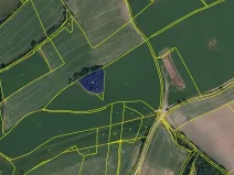 Prodej lesa, Brtnice, 2612 m2