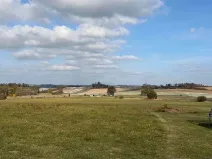 Prodej lesa, Brtnice, 2612 m2