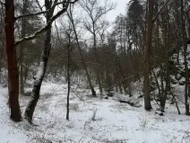 Prodej rybníku, Chotiměř, 6437 m2