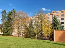 Prodej bytu 1+kk, Chodov, Palackého, 18 m2