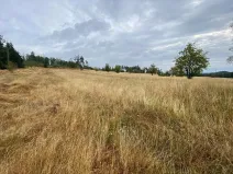 Prodej pozemku, Český Rudolec - Matějovec, 15087 m2