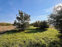 Prodej zahrady, Veselí nad Moravou, 448 m2