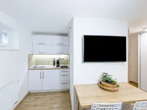 Pronájem bytu 1+kk, Zlín, Vejvanovská, 20 m2