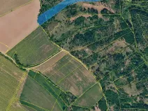 Prodej lesa, Čikov, 17924 m2