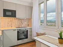 Prodej bytu 1+1, Ústí nad Labem - Střekov, Nová, 42 m2