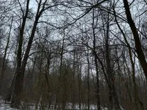Prodej pozemku, Kralupy nad Vltavou, 719 m2