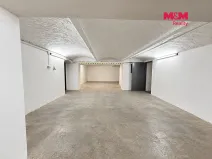 Pronájem garáže, Ostrava, Mariánskohorská, 160 m2