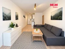 Prodej bytu 2+kk, Frýdek-Místek - Místek, Československé armády, 50 m2