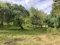 Prodej pozemku pro bydlení, Plavy, 1132 m2