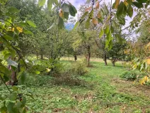 Prodej pozemku pro bydlení, Plavy, 1132 m2