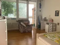 Pronájem bytu 1+kk, Praha - Michle, V zápolí, 30 m2