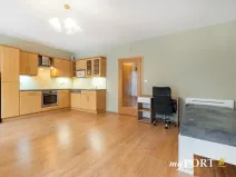 Pronájem bytu 1+kk, Plzeň, Majerova, 40 m2