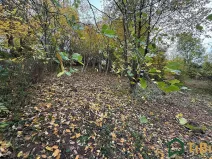 Prodej zahrady, Blansko, 541 m2