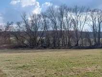 Prodej podílu louky, Podluhy, 1240 m2