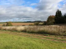 Prodej pozemku, Olešná, 2187 m2