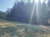 Dražba louky, Syřenov, 1443 m2