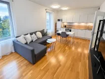 Prodej bytu 2+kk, Praha - Karlín, Nekvasilova, 48 m2