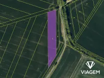 Prodej podílu pole, Otaslavice, 1500 m2