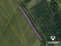 Prodej pole, Boršice u Blatnice, 2802 m2