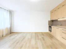 Pronájem bytu 1+kk, Plzeň - Bolevec, Žlutická, 31 m2