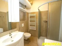 Pronájem bytu 1+kk, Brno, Vodní, 20 m2