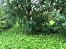 Prodej pozemku pro bydlení, Most, 230 m2