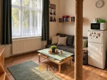 Prodej bytu 1+kk, Plzeň - Východní Předměstí, Koterovská, 25 m2