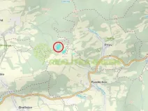 Prodej lesa, Pozděchov, 22655 m2