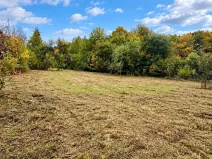 Prodej pozemku pro bydlení, Růžďka, 2996 m2