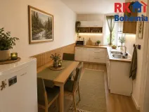 Prodej bytu 1+1, Benátky nad Jizerou, Dražická, 42 m2