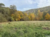 Prodej louky, Štěchovice, 4119 m2
