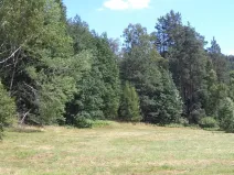 Dražba louky, Mařenice, 19744 m2