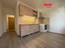 Pronájem bytu 2+1, Chomutov, Holešická, 63 m2