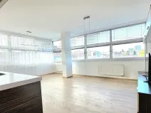 Pronájem bytu 2+kk, Brno, Palackého třída, 61 m2