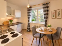 Pronájem bytu 1+1, Litvínov, Podkrušnohorská, 30 m2