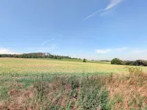 Prodej pole, Oslavička, 14941 m2